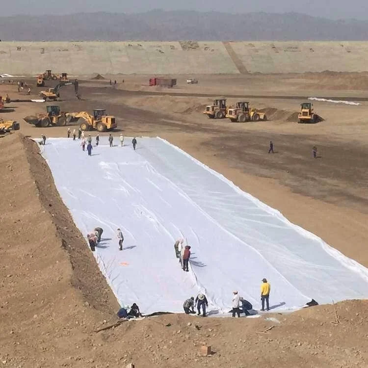 Geotextile Geotech Fabric for Canals Project in Cambodia