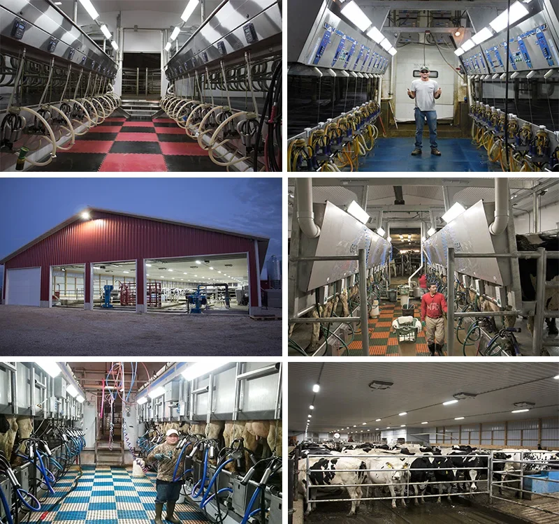 ZLC Dairy light.jpg