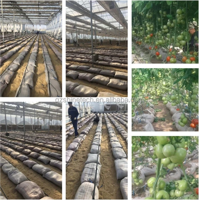 Multi-span greenhouse