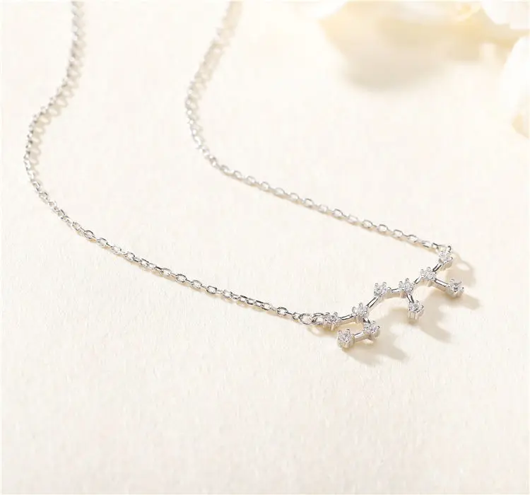 Fashion S925 Sterling Silver Twelve Zodiac Necklace Women Simple