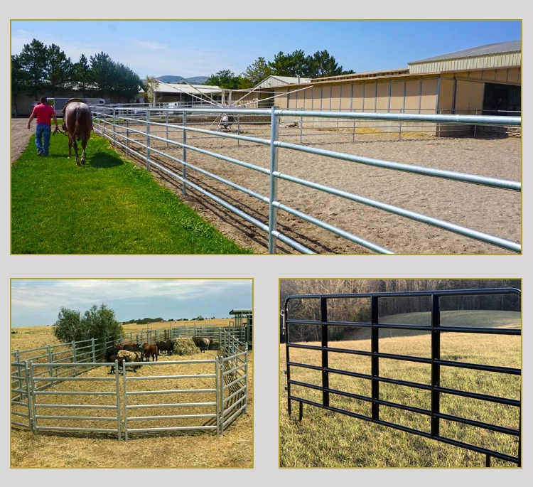 12 Ft Heavy Duty Galvanized Livestock Panel Powder Coated Horse Pen ...