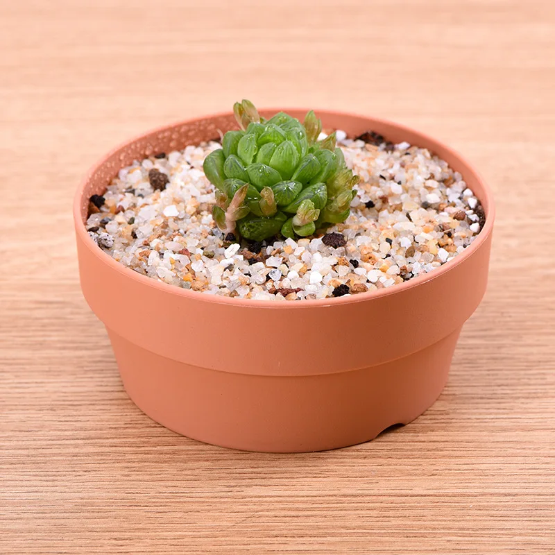 plant pots with drainage Succulent Pots, 6.1 Inch Succulent Planter Pots with Drainage Hole Pa –  artketty main image 1