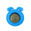 Blue dog