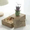 Pourpre