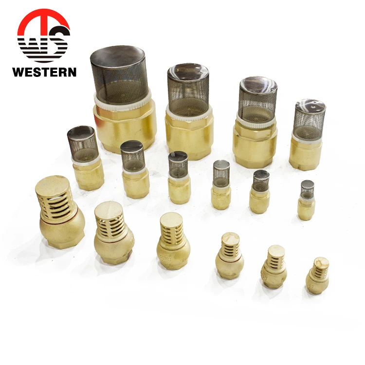 4 Inch China Check Valve Spring Vertical One Way Brass Foot Valve Foot Valve Price for Water Pump
