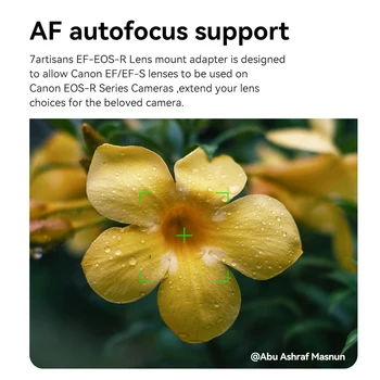 7Artisans EF-EOS R Adapter Auto-Focus Lens Mount Adapter for EF/EF-S Lens to Canon RF Mount Camera EOS RP R50 R6 R10 detail image