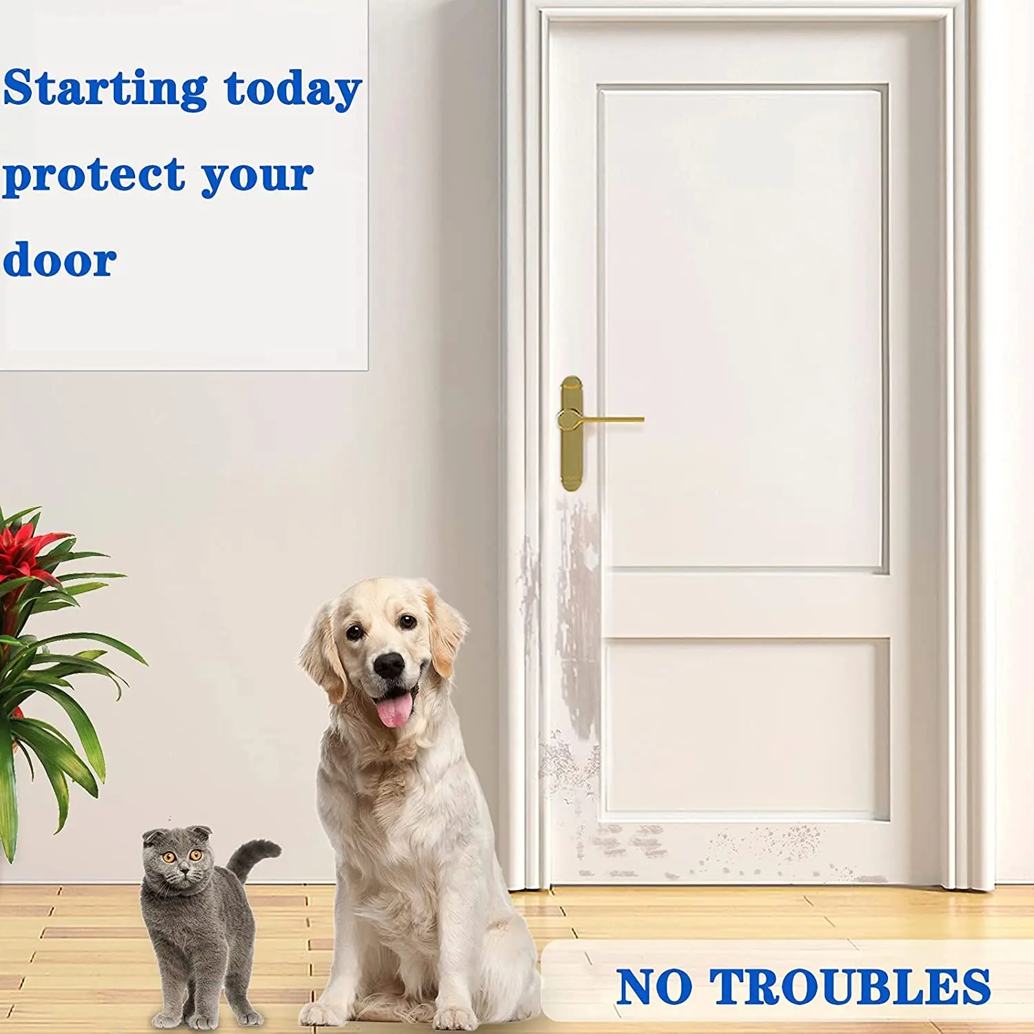How Can I Protect My Door From Dog Scratches