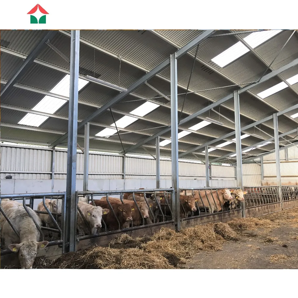 Modern Design Steel Structure Cow Cattle Dairy Milking Farm Goat Farming House  Shed Building