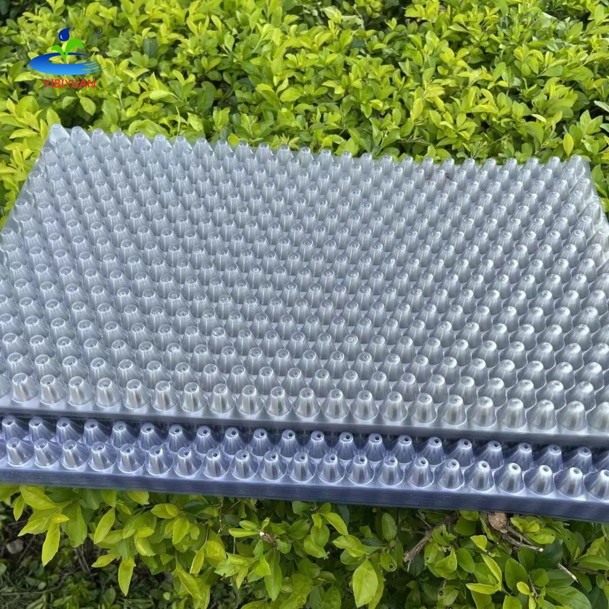 308 353 434 561 648 Holes Clear Pvc Rice Seedling Tray Paddy Seeds Growing Rice Nursery Tray