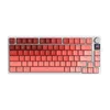 Couleur 2/ 2.4G + Bluetooth + USB-C/TFT Smart Display