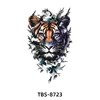 TBS8723