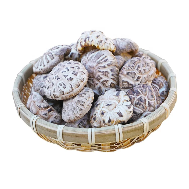 Сушеные грибы shiitake, поставщик грибов, купить грибы shiitake