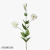 White00