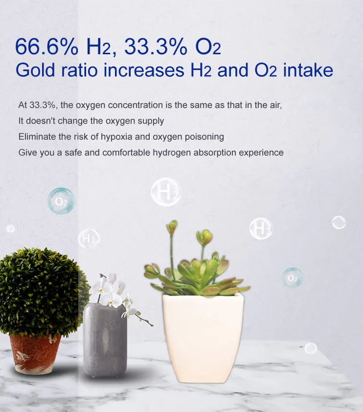 Portable Hydrogen Inhalation Machine with 99.99% Purity and 900ml/min Flow for Medical Grade Therapy