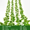 Green sage vine leaves (2 stalks per pack)