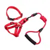 Dog Leash 13