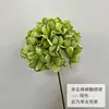 Lecca-lecca singola ortensia-verde