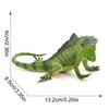 2958 iguana verde americana-492g