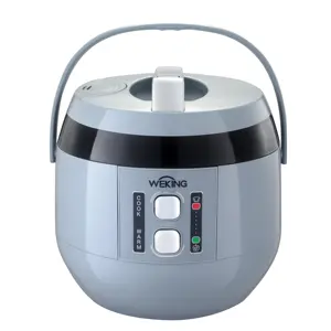Hot Products 5L Plastic Rice Cooker Electric Appliances with Handle Portable Rice Cooker Chinese Brands Appliances
