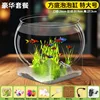 Extra Large Square Bottom Bubble Tank - Deluxe Package