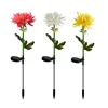 Single-headed chrysanthemum