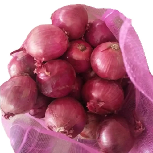 Fresh Red Onions Bulk Packing 20kg Mesh Bag - China Onion, Fresh Onion