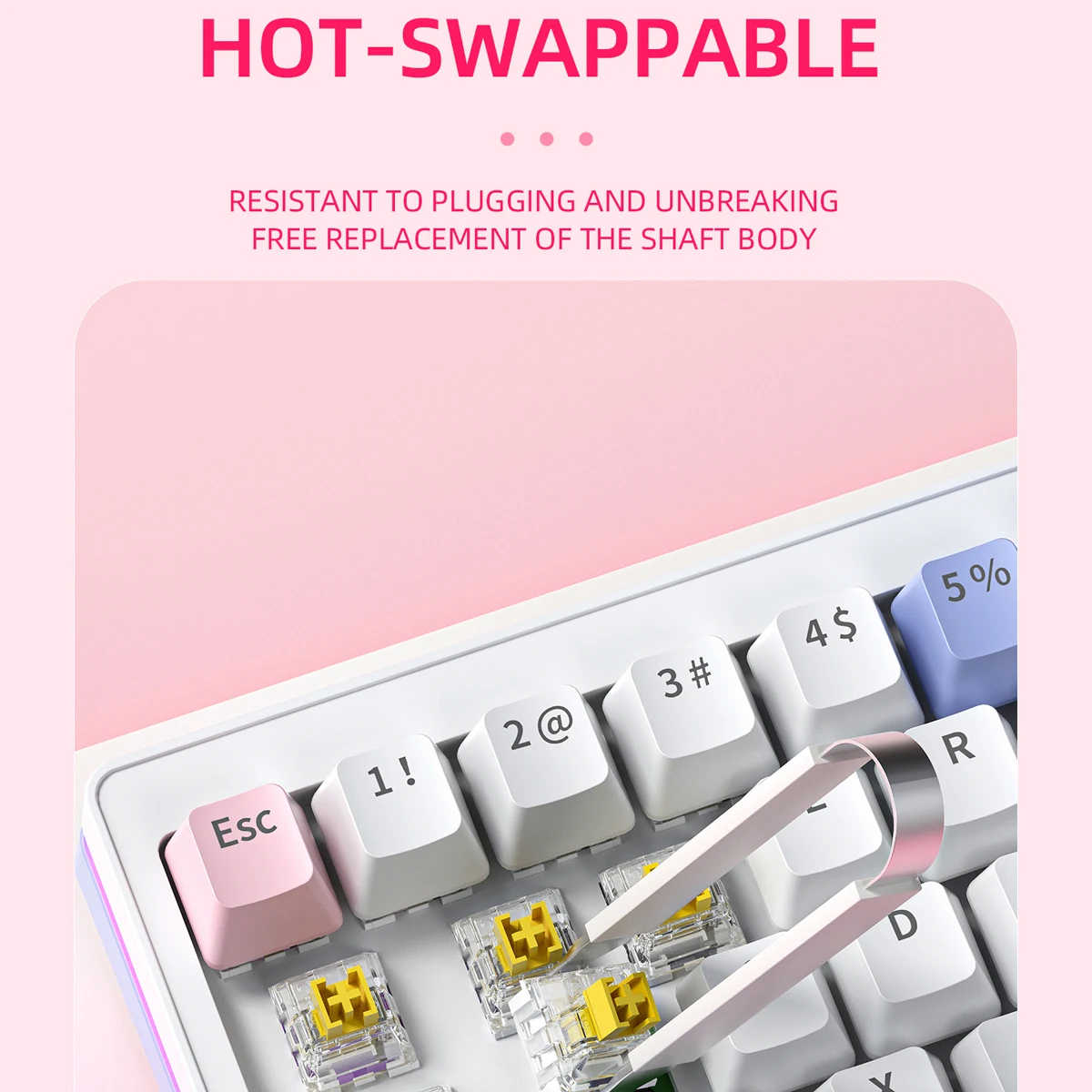 ki ki ՞・֊・՞ページ 2点セット Clazzio】 クラッツィオ アクセント EH-0443 ホンダ エリシオン RR1