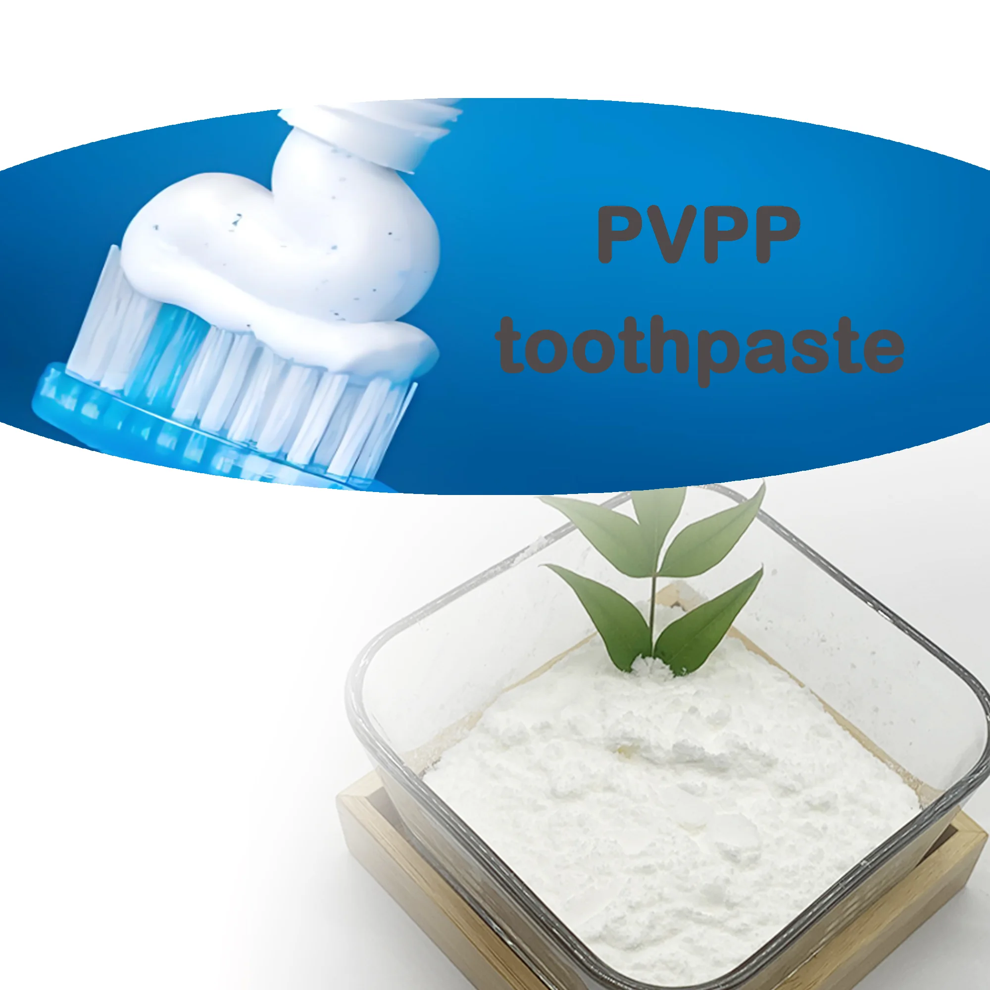 Factory Supply CAS 25655-41-8 High follow-up rate White powder Organic intermediates PVPP in Toothpaste industry PVPP in Stock