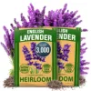 Lavanda