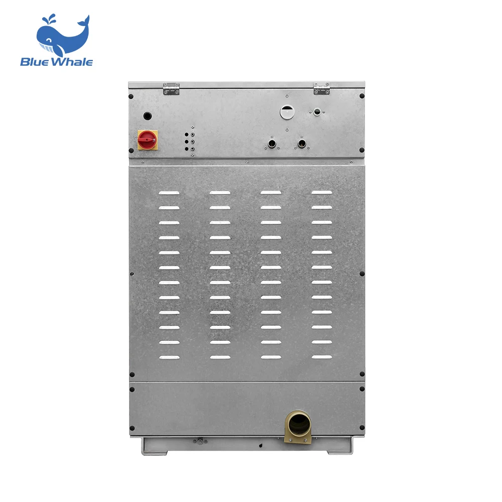 Dexter Coin Operated Washing Machine Capacity Automatic Commercial Laundry Washer Electric Gas Steam Blue Whale 220/2/50V 1.5KW