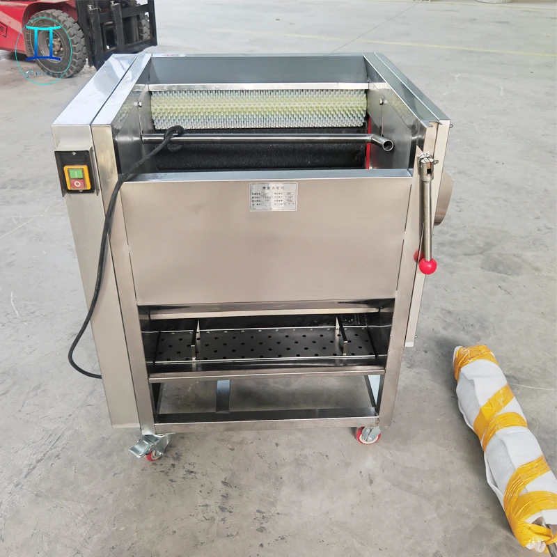 Automatic Fruit and Vegetable Washing Cleaning Machine Potato Vegetable Washer Washing Machine