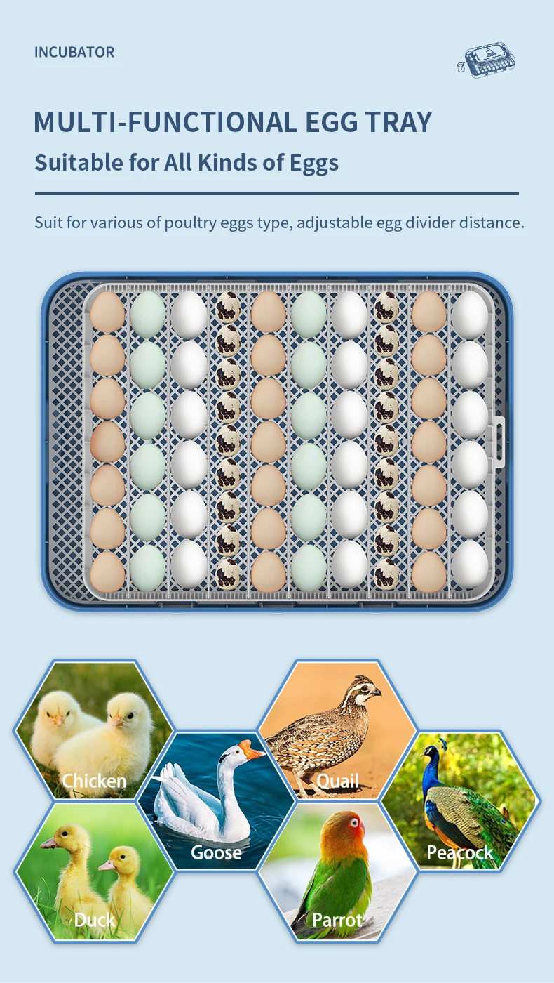 HHD WONEGG 70 Mini Solar Incubator With Panel Automatic Hatching Smart Machine Chicken Eggs Incubator