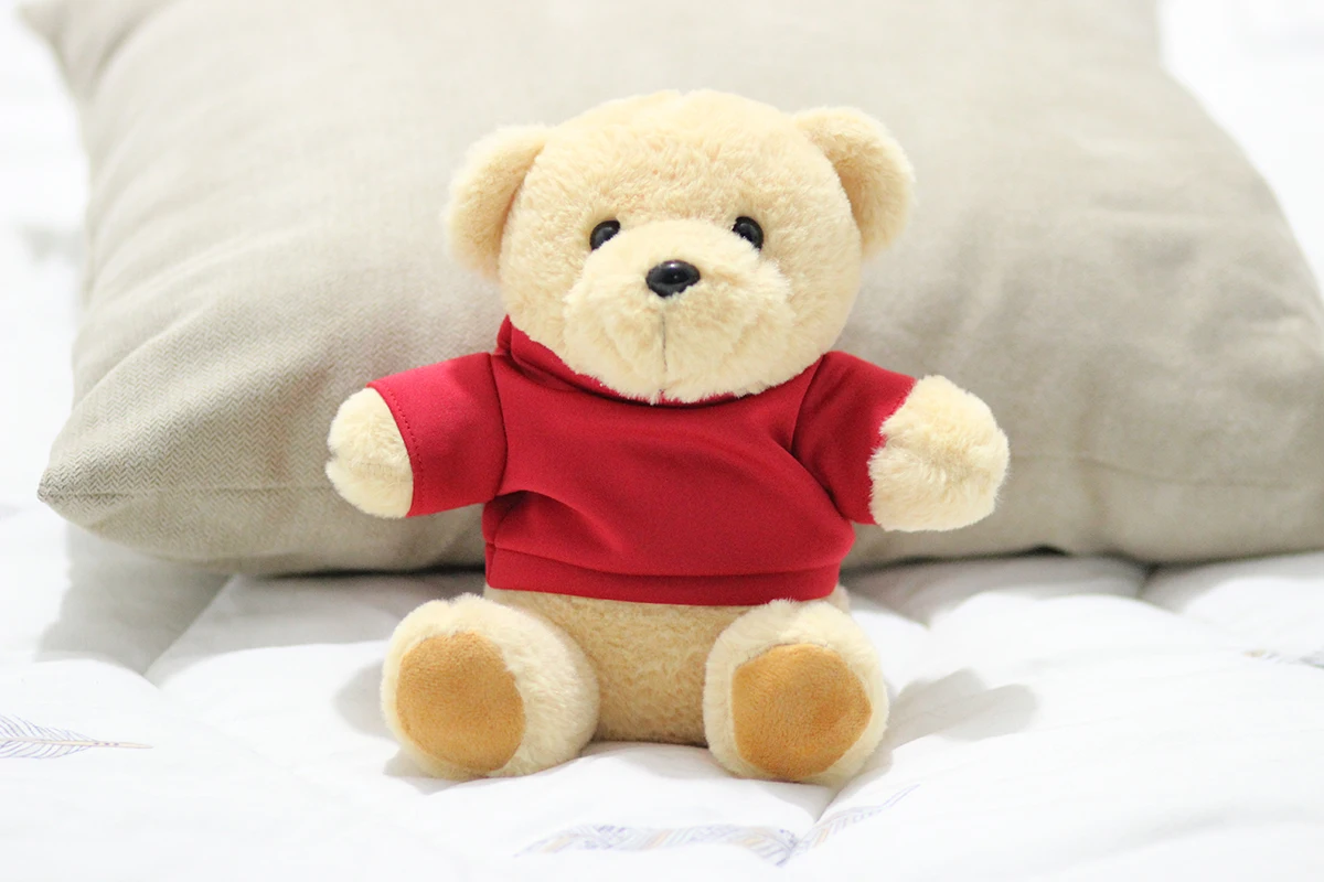 Promotional China Factory Wholesale Plush Teddy Bear With Printed Logo