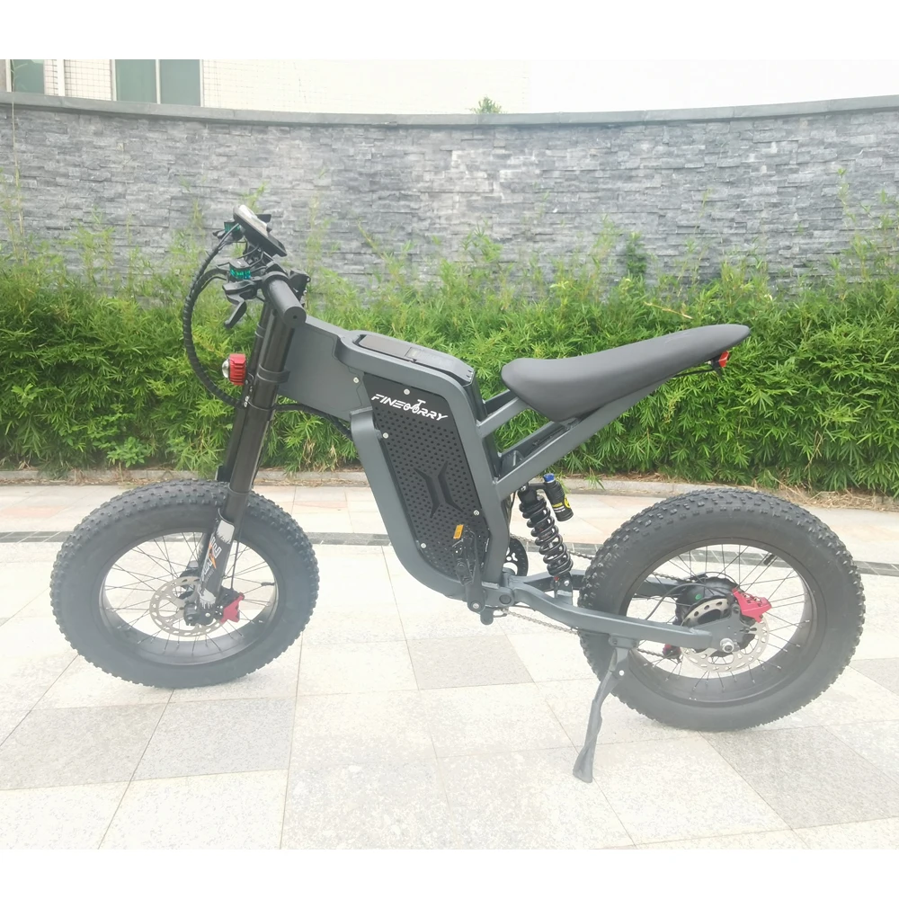 48v 1000W 2000W 55 km/h 35Ah 100km 3000W 1500W electric bikes for sale