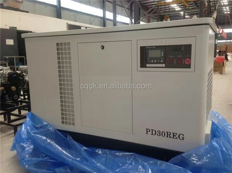 Dual Fuel Lifan Engine 3 Phase Silent Natural Gas NG Liquid Propane LPG Generators 30KW 35KVA