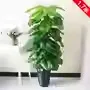15m bamboo-wrapped green apple-63 leaves no pot