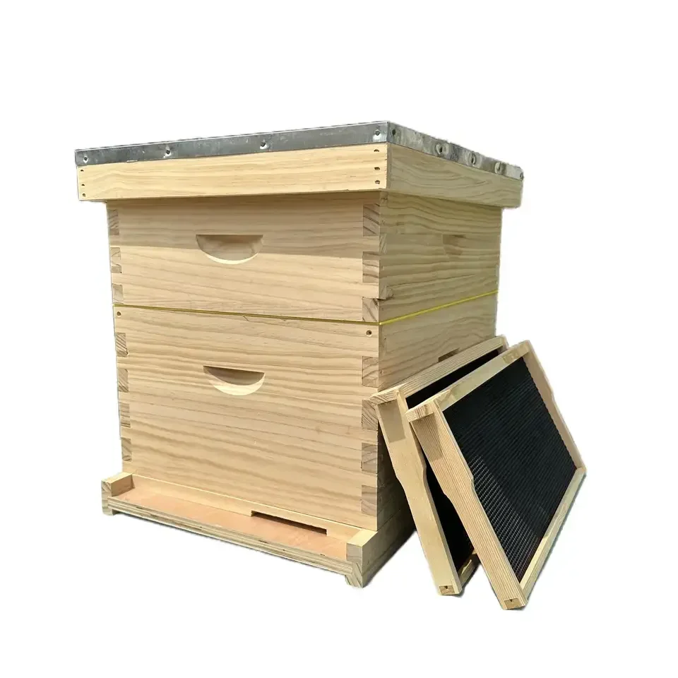 Beekeeping Equipment Wooden 10f/8f Langstroth Beehives/beehives For ...