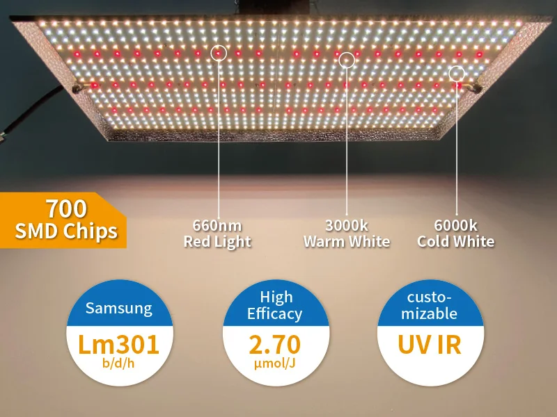 High Efficiency Lm301b Lm301h 300w 320w Quantum Led Grow Light With ...