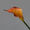 6# arancione