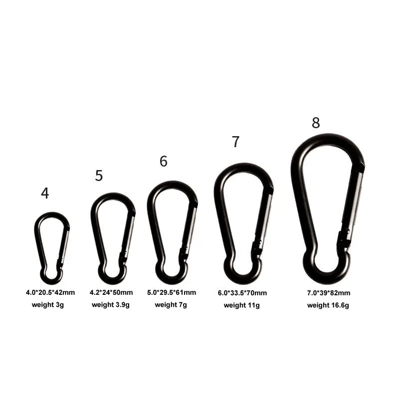 carabiner (4).jpg