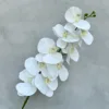3D Butterfly Blue-White