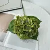 Deep Green