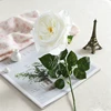 blanc pur
