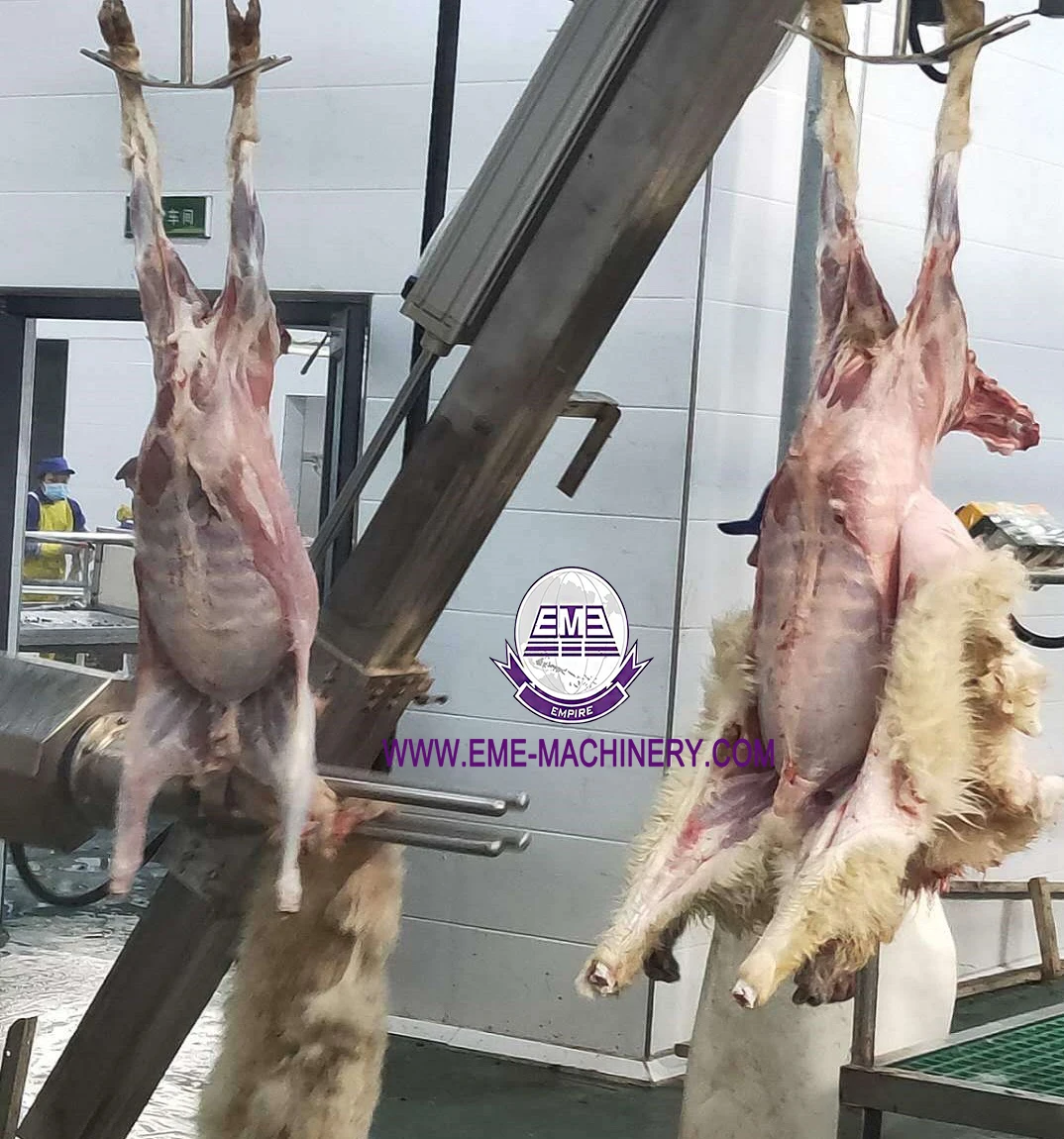 Complete Halal Mutton Slaughter Line Price Sheep Abattoir Dehiding Equipment Goat Slaughtering Machine of Lamb Slaughterhouse