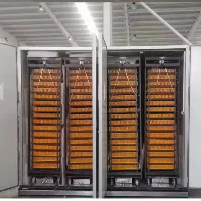 Large 10000 Egg Incubator New Commercial Chicken Goose Ostrich Duck Turkey Egg Incubator for Sale 220V