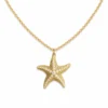 Estrella de mar de metal dorada
