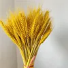 Gold yellow