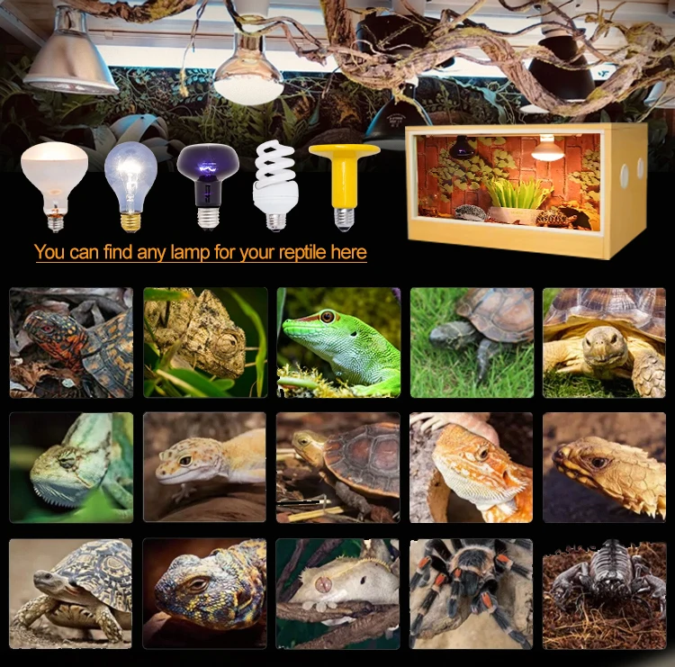 New Arrivals 120*50*60cm Mdf Large Board Reptile Terrariums Tanks Tall ...