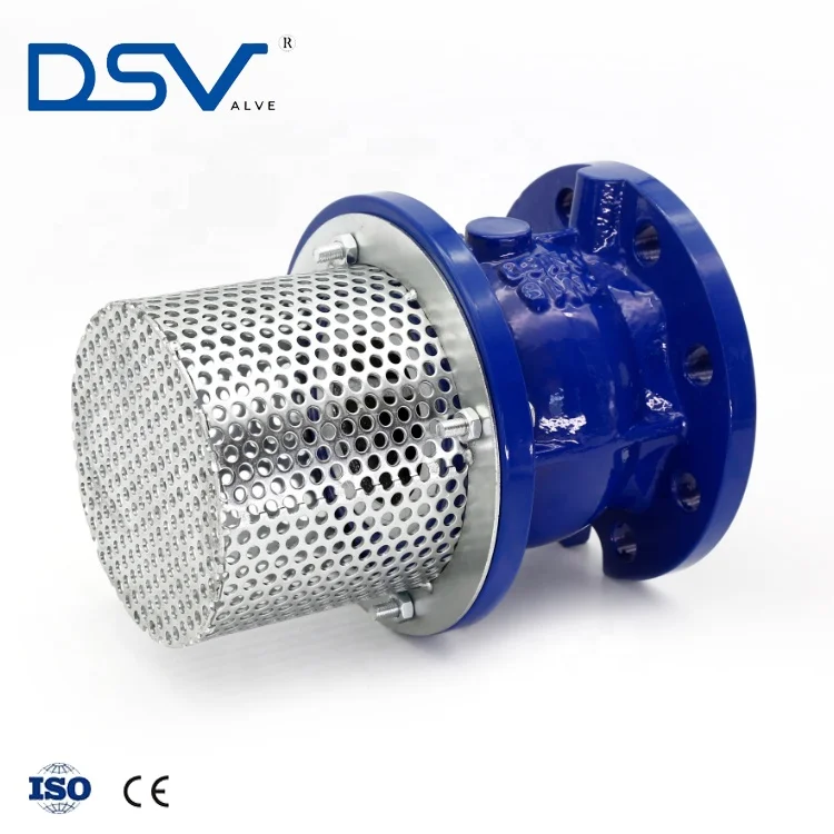 Ductile Iron Iso Standard Flange Type 6" Diameter Foot Valve