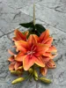 สีส้ม